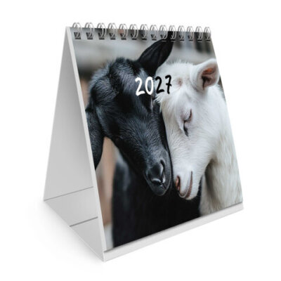product_1